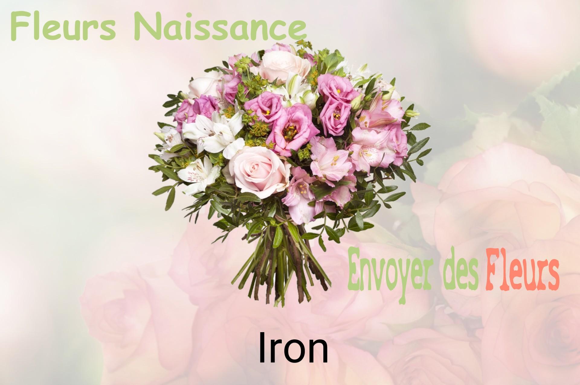 Bouquet de fleurs de naissance livré à Iron