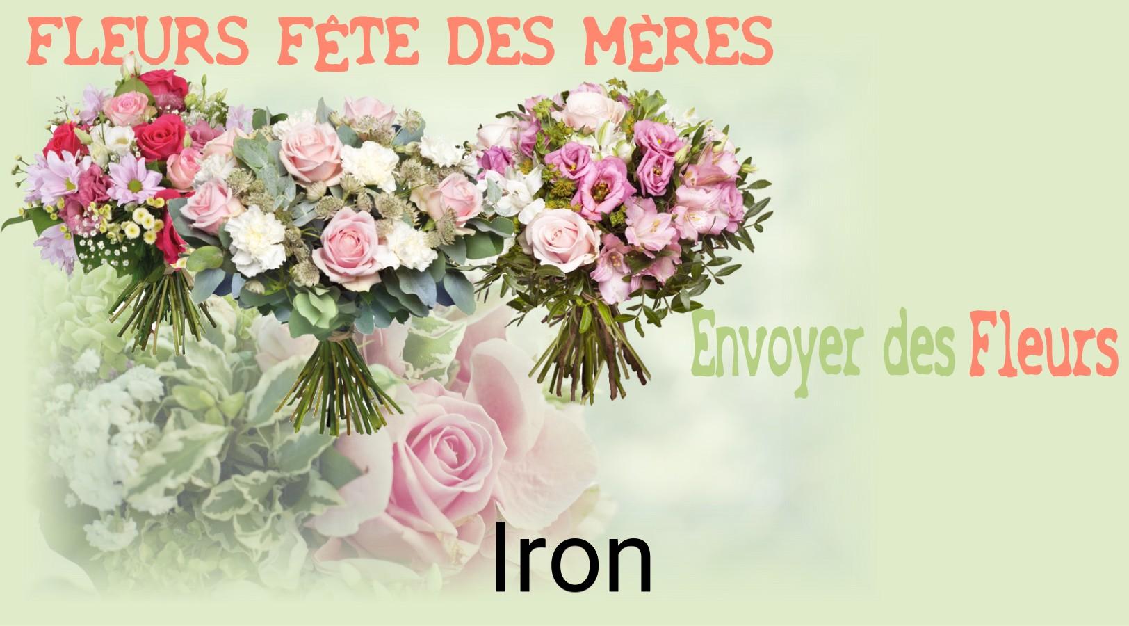 Bouquet de Fête des Mères livré à Iron